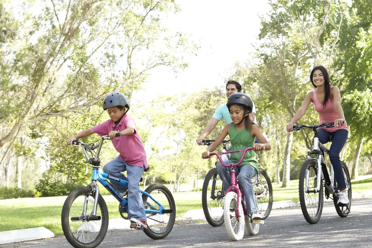 Bike Rentals